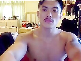 muscle