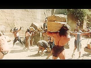 The Barbarians